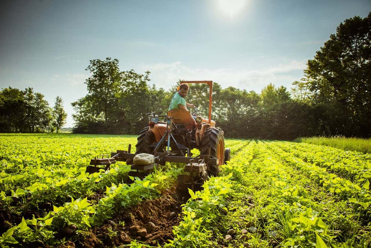 Aggiungi un legume a tavola: il 10 febbraio in oltre 150 ristoranti e pizzerie